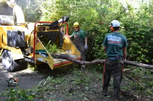 tree services Green Mountain Falls